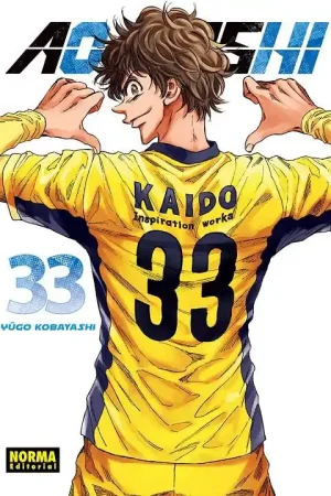 AO ASHI 33 Súper Precio