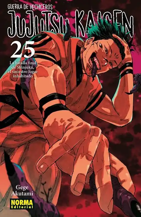 JUJUTSU KAISEN 25 Liquidación