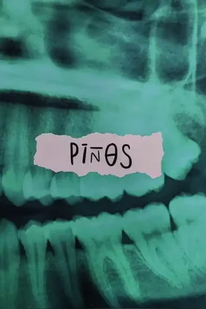 PIÑOS Stock Limitado