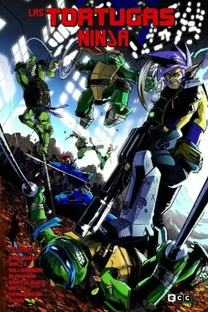 Envío Exprés LAS TORTUGAS NINJA 04