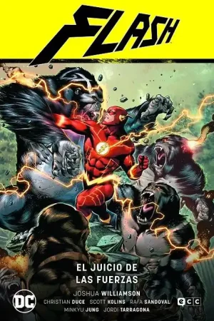 Precio Bajo FLASH SAGA RENACIMIENTO 07 EL JUICIO DE LAS FUERZAS