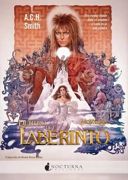 DENTRO DEL LABERINTO Comprar En Línea