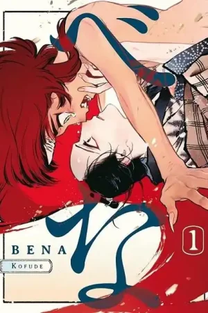 BENA 01 Barato