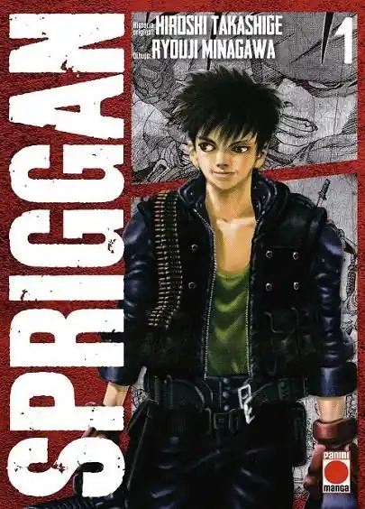 Descuento SPRIGGAN MAXIMUM 01