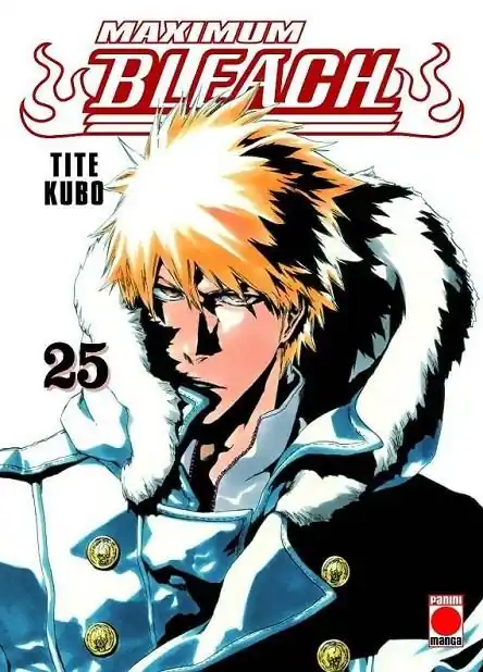 Pago Seguro BLEACH MAXIMUM 25