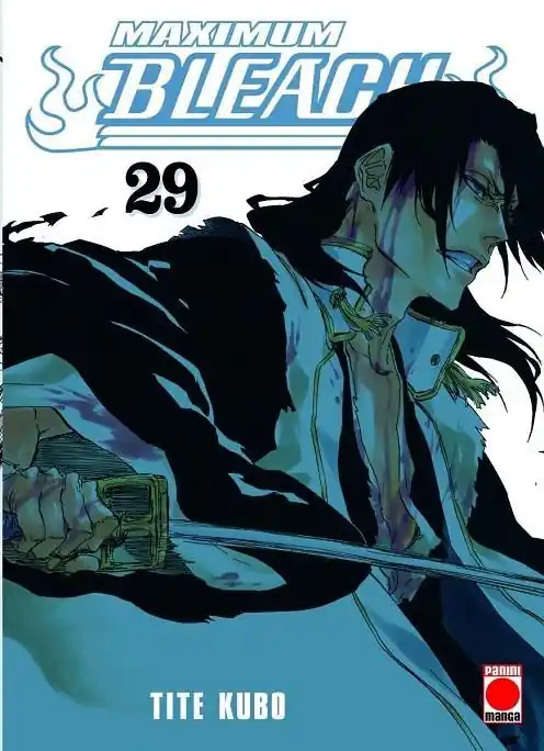 Barato BLEACH MAXIMUM 29