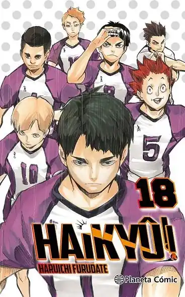 Envío Exprés HAIKYU!! Nº 18/45