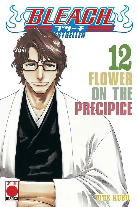Directo De Fábrica BLEACH BESTSELLER 12