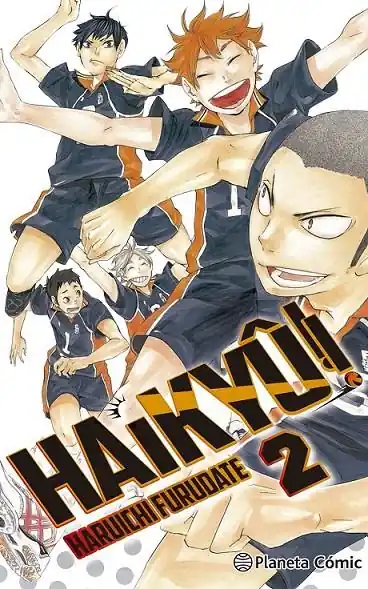 HAIKYU!! Nº 02/45 Liquidación