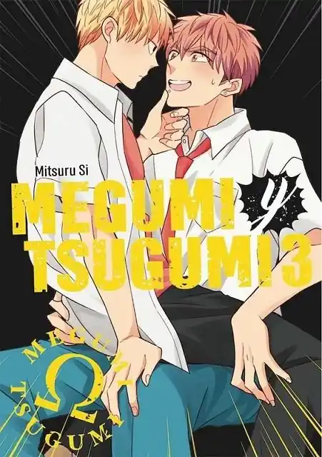 Descuento MEGUMI Y TSUGUMI VOL 03