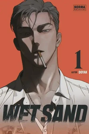 Alta Calidad WET SAND 01