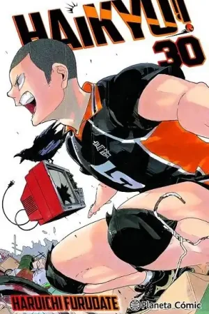 HAIKYU!! Nº 30/45 Precio Económico