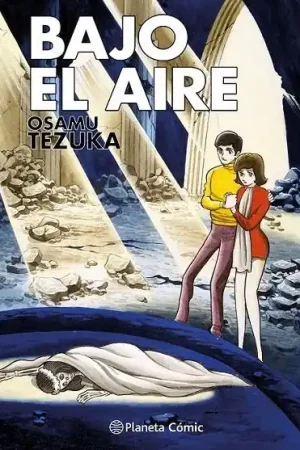BAJO EL AIRE Marca Reconocida