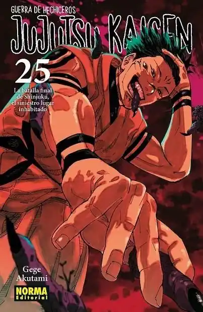 Ocasión Especial JUJUTSU KAISEN 25