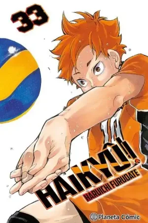 Precio Reducido HAIKYÛ!! Nº 33/45