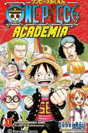 Oferta Flash ONE PIECE ACADEMIA 01