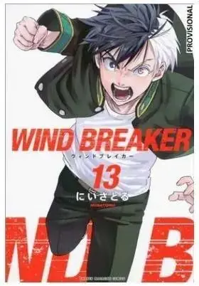WIND BREAKER 13 Promoción