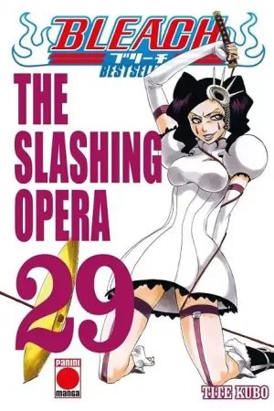 Precio Rebajado BLEACH BESTSELLER 29