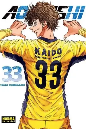 AO ASHI 33 Entrega Rápida