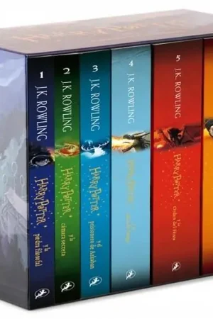 ESTUCHE HARRY POTTER Certificado