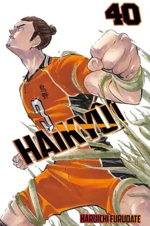 Venta Final HAIKYÛ!! Nº 40/45