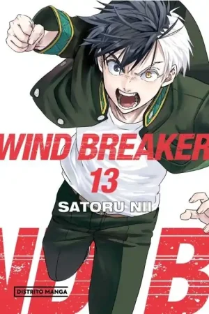 WIND BREAKER 13 Precio Económico