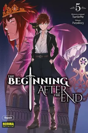 Stock Limitado THE BEGINNING AFTER THE END 05