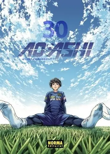 Oferta Limitada AO ASHI 30