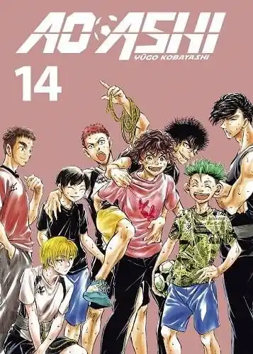 AO ASHI 14 Descuento