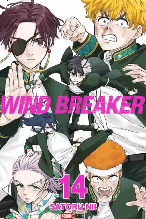 Wind Breaker N.14 Envío Inmediato