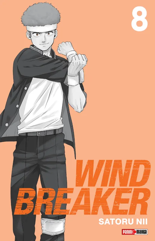 Wind Breaker N.8 Precio De Oferta