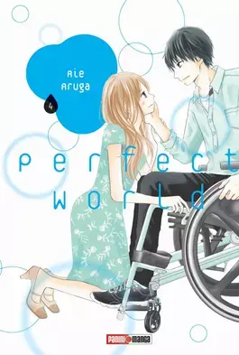 Barato PERFECT WORLD N.4