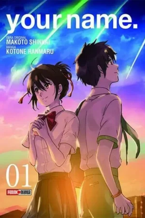 YOUR NAME N.1 Precio Bajo