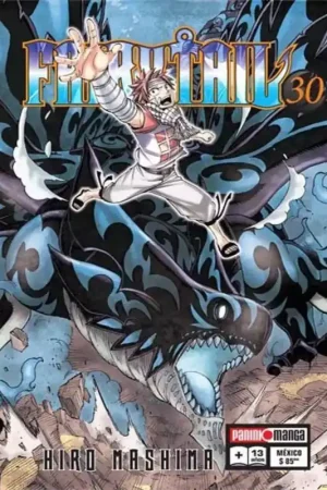 Certificado FAIRY TAIL N.30