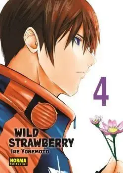Oferta Flash WILD STRAWBERRY 04