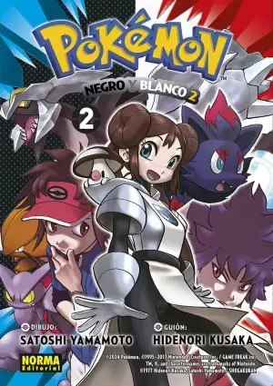 Directo De Fábrica POKÉMON 32 NEGRO Y BLANCO II 02