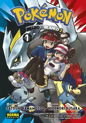 Barato POKÉMON 31 NEGRO Y BLANCO II 01