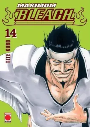 Precio Económico BLEACH MAXIMUM 14