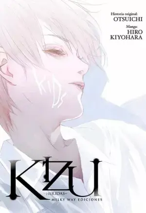Económico KIZU, HERIDAS