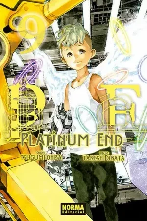 Certificado PLATINUM END 09