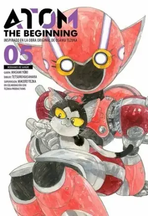 ATOM THE BEGINNING 05 Oferta Flash