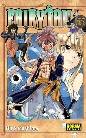 FAIRY TAIL 55 Certificado