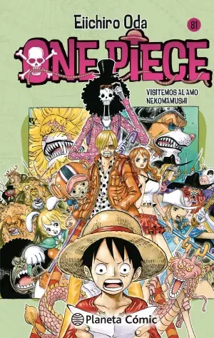 Precio Económico ONE PIECE 81
