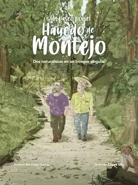 UN PASEO POR EL HAYEDO DE MONTEJO Directo De Fábrica