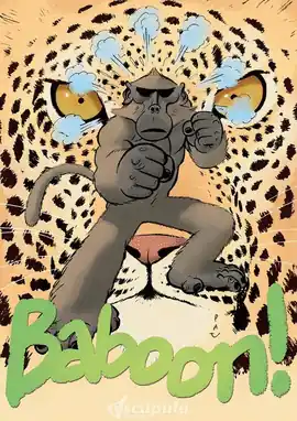 BABOON Popular